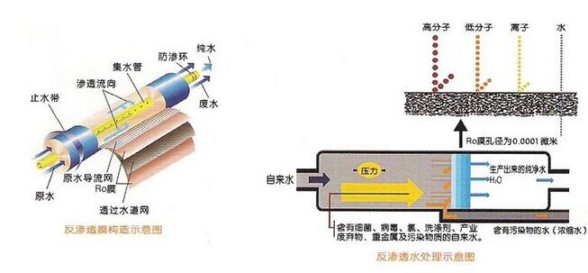 一体化反渗透超香蕉视频网址
